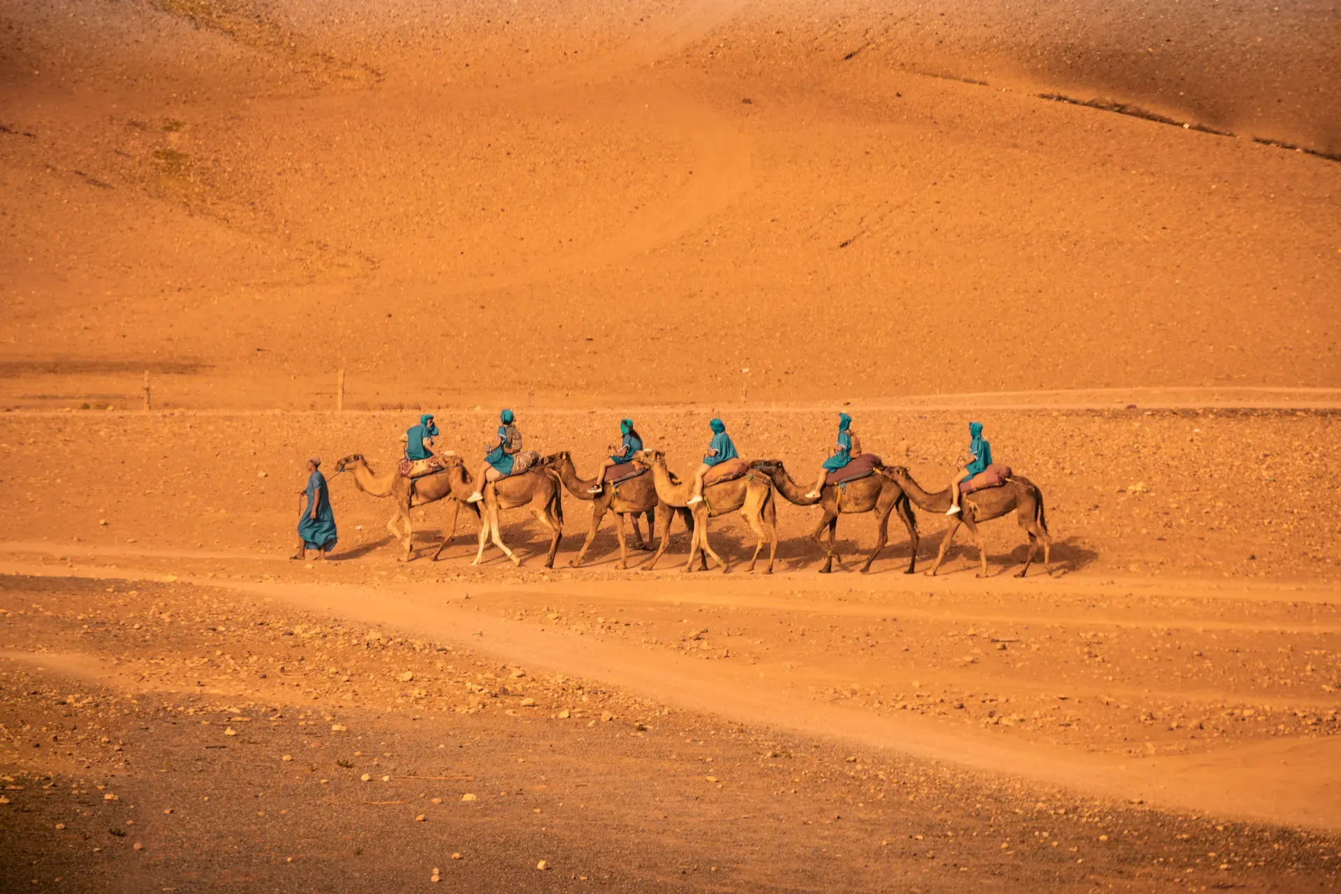 Caravane de dromadaires dans le désert