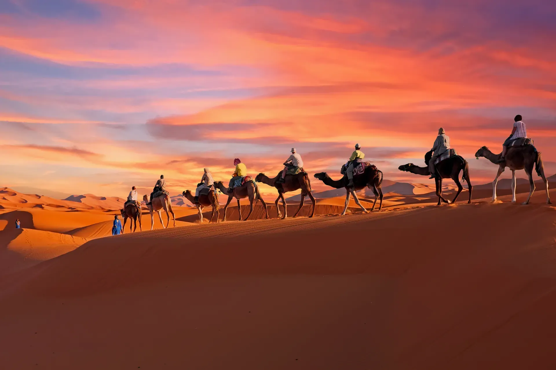 Caravane de dromadaires au coucher du soleil